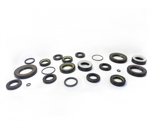 POWER STEERING SEALS